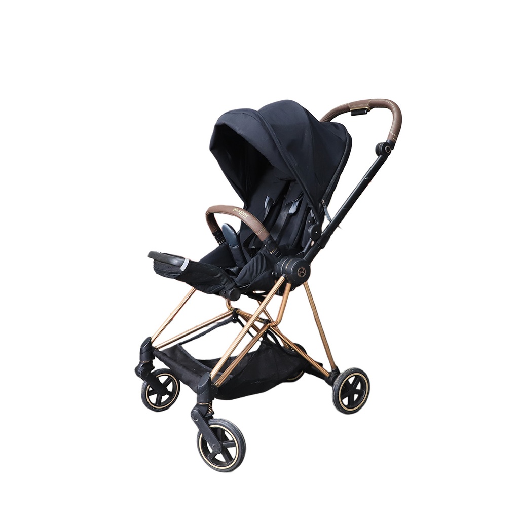 Cybex Platinum Expensive Stroller