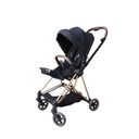 Cybex Platinum Expensive Stroller