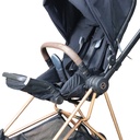 Cybex Platinum Expensive Stroller