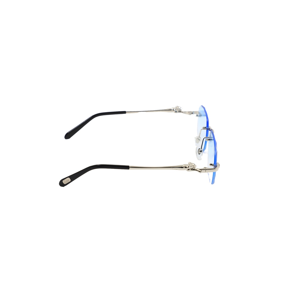 Glasses Not Authentic Blue Shade