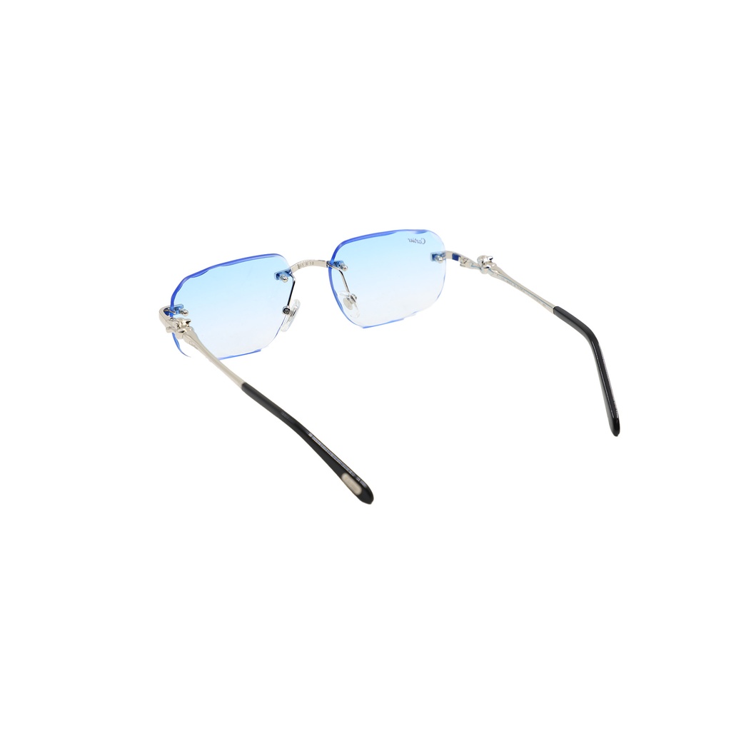 Glasses Not Authentic Blue Shade