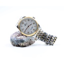 Tudor 1926 Rotor Self-Winding