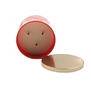 Bath and Body Works JAPANESE CHERRY BLOSSOM 3-Wick Candle