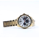 Michael Kors MK5838 All Stainless Steel