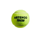 Tennis Balls 4-Pack - TB530, Yellow