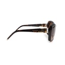 BVLGARI BV 8133 Sunglasses 504/13 Havana  Lens With :56, Bridge Width:18