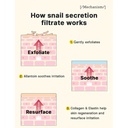 Cosrx Advanced Snail Radiance Dual Essence 80ml