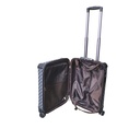 Copy LV Luggage Cabinet Classic