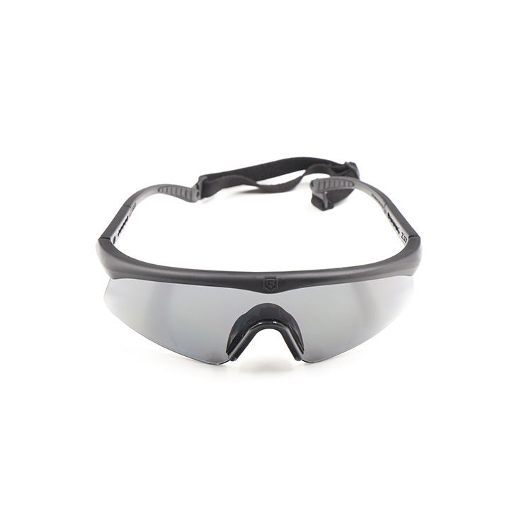 Revisiom Z87 EN166 FT.S + Pouch & Case