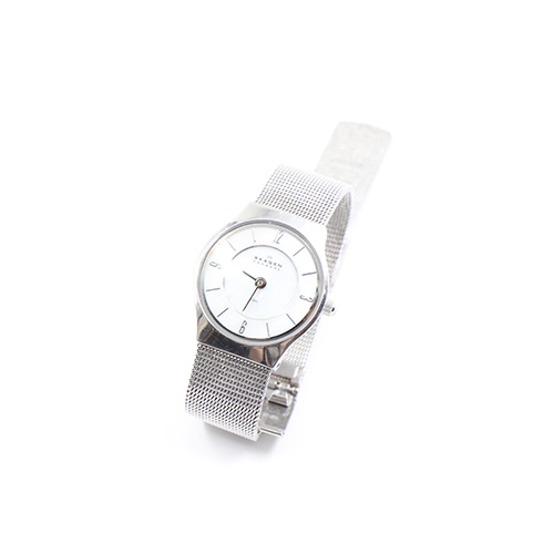 Skagen Denmark 233xSSS All Stainless Steel For Women