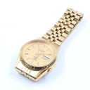 citizen watch 8200 automatic with golden japancolor