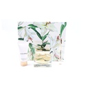 Dolce & Gabbana Perfume Body Lotion 50 ml + Eau De Parfum 75 ml + Eau de Parfum 10 ml