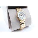 Michael Kors MK3960, All Stainless Steel, Gold Toned, 5ATM