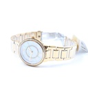 Michael Kors MK3960, All Stainless Steel, Gold Toned, 5ATM