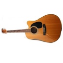Fernando wsez-7401na Electrical Acoustic Guitar,