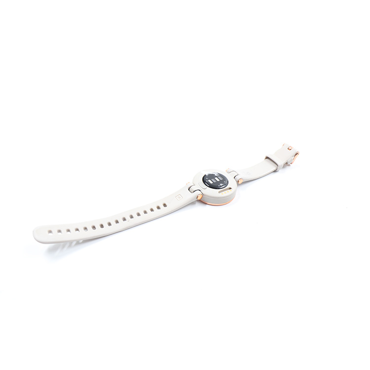 Garmin Lily Classic Edition