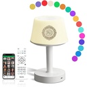 Desk Lamp Quran Speaker SQ917 Smart App Control