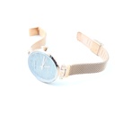 Mini Focus, Analog Watch Stainless Steel Back , Water Resistant