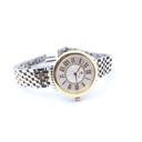 Michele TRH1817635, SEREIN Sapphire Crystal Stainless Steel Swiss Movment, one 18K Gold Diamond Dial Women's Watch MWW21B000148