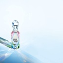 victoria's secret dream angel 50 ml