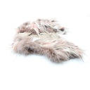 TopShop 11X13INUD Feather Top Compliment Jacket, Size: 38