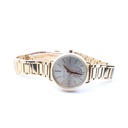 Michael Kors MK-3838, All Stainless Steel, 5 ATM