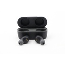 Skullcandy JBL True 2 Earbuds