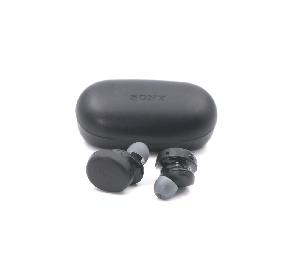 SONY WF-XB700 Wireless Earbuds