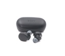 SONY WF-XB700 Wireless Earbuds