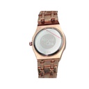 Audemark Piguet Replica 2013 ** Copy **