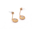Rochas Gold Earrings