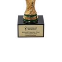 FIFA WorldCup Qatar 2022 Trophy