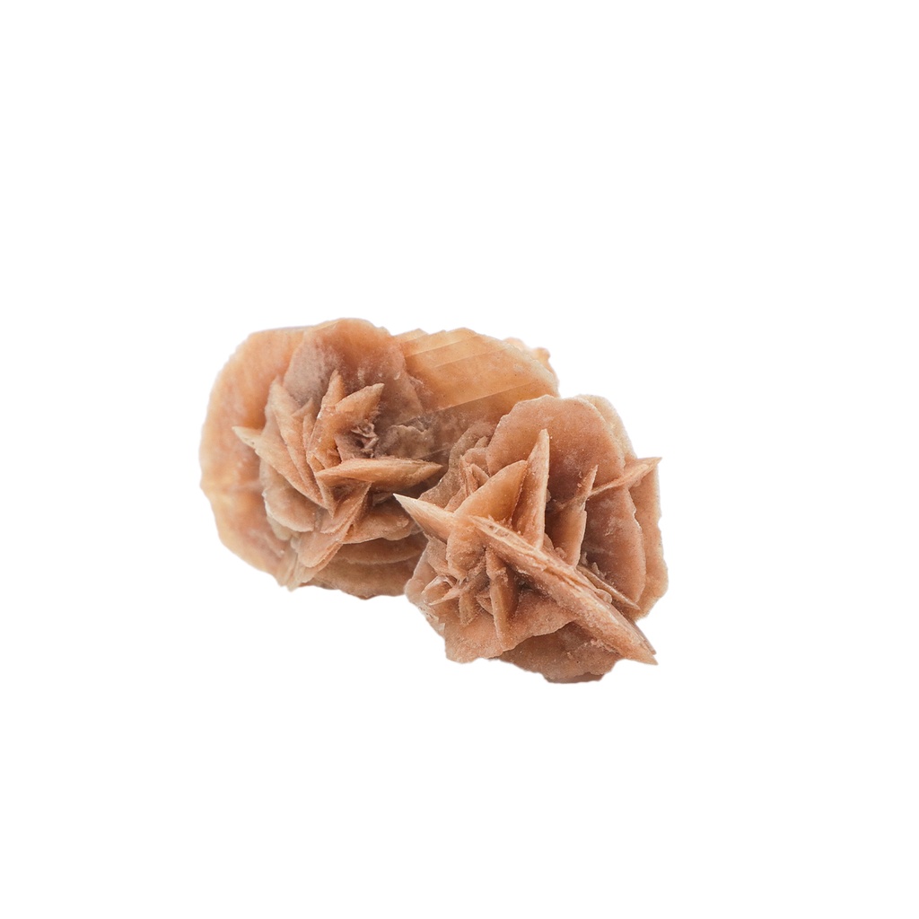 Desert Rose Small
