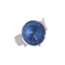 Skagen , Denmark SKW2809, All Stainless Steel