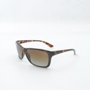 Ray.Ban TB 4331 710/T5 Lens Width:61, Bridge Width:16, 135+  Cover Case, Made In Italy