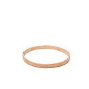 Aigner Love Double Crystal Gold Toned Bracelet Bangle