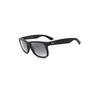 Sunglasses Ray-Ban Justin RB 4165 (601/8G)