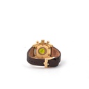 Glam Rock Gold Brown Watch