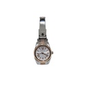 Michael Kors, MK-3876, All Stainless Steel 252006,