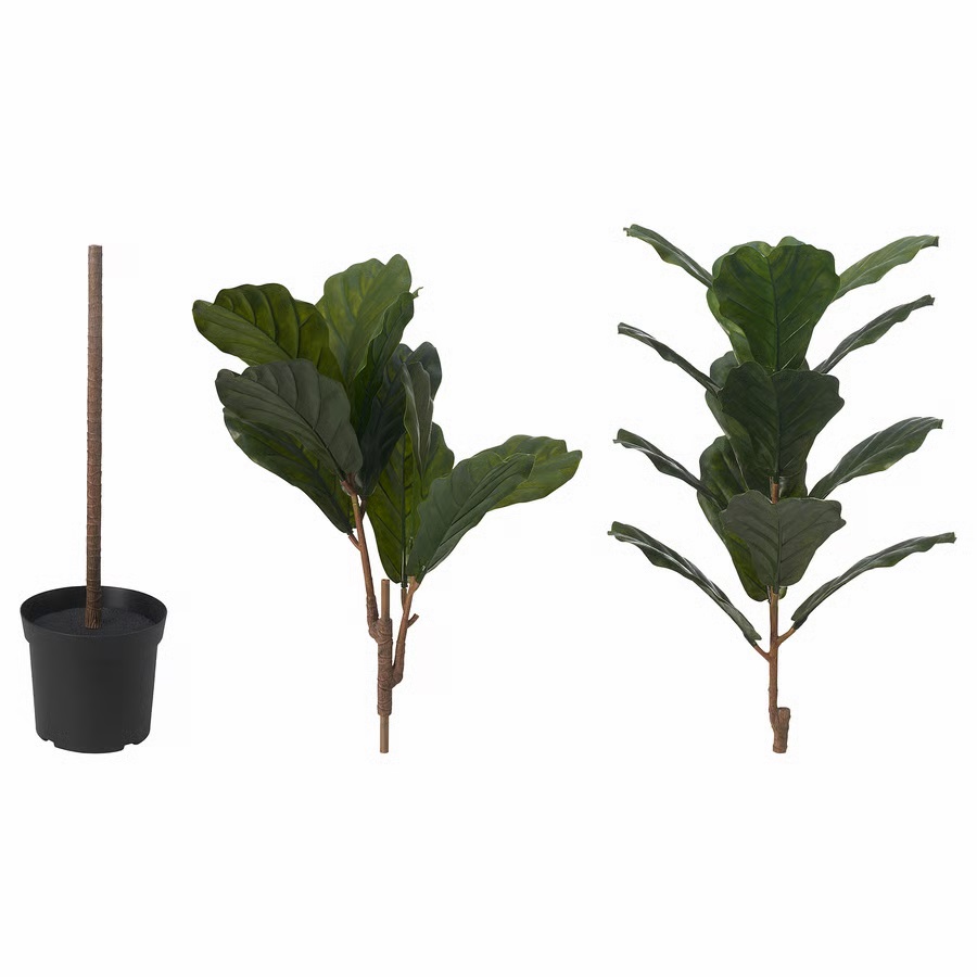 Fejka  Artificial Potted Plant, in Outdoor Fiddle-leaf Fig, 19 cm