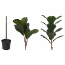 Fejka  Artificial Potted Plant, in Outdoor Fiddle-leaf Fig, 19 cm