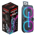 Stargold Multimedia Speaker 60W Remote Control Via BT, USB, SD/MMC, SG-G2031 BLACK