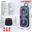 Stargold Multimedia Speaker 60W Remote Control Via BT, USB, SD/MMC, SG-G2031 BLACK
