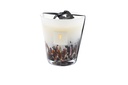 Baobab collection Max 10 Rainforest Tanjung Max 16 Candles 1.1KG
