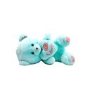 Teddy Bear Light Green