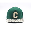 Cayler & Sons Green Hat