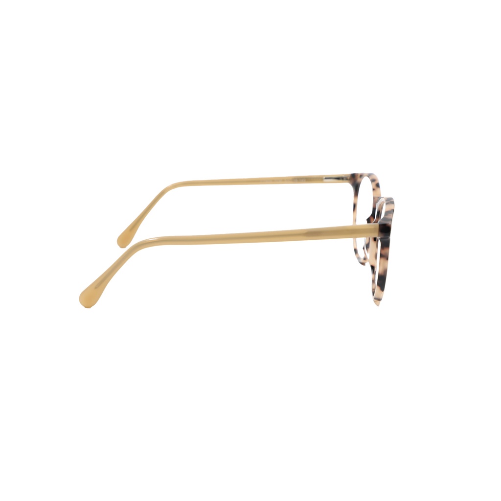 Coasteyewear Sunglasses CT606  With :51, Bridge Width:18