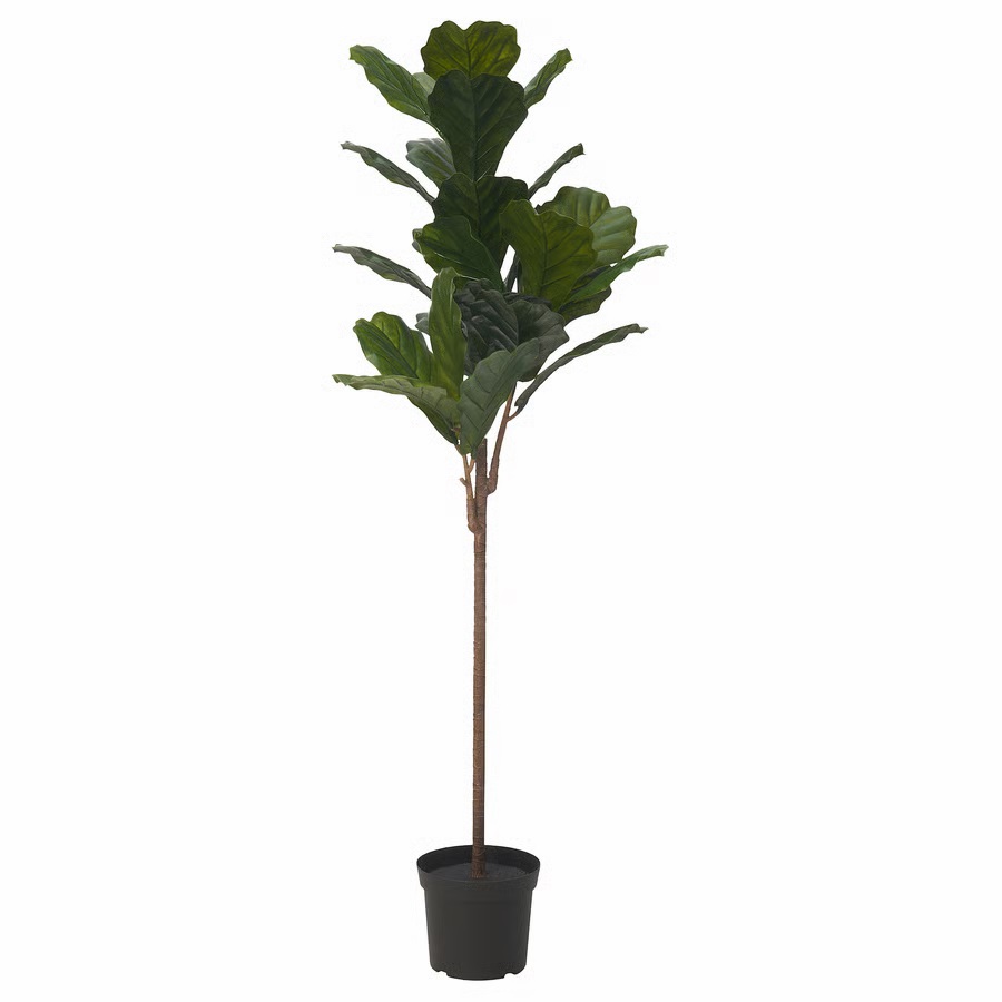 Fejka  Artificial Potted Plant, in Outdoor Fiddle-leaf Fig, 19 cm