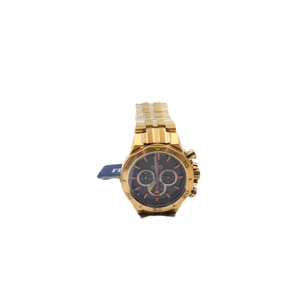 Festina Chrono Bike Men's Watch F20450
