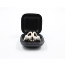 Beats Powerbeats Pro Wireless Bluetooth Headphones